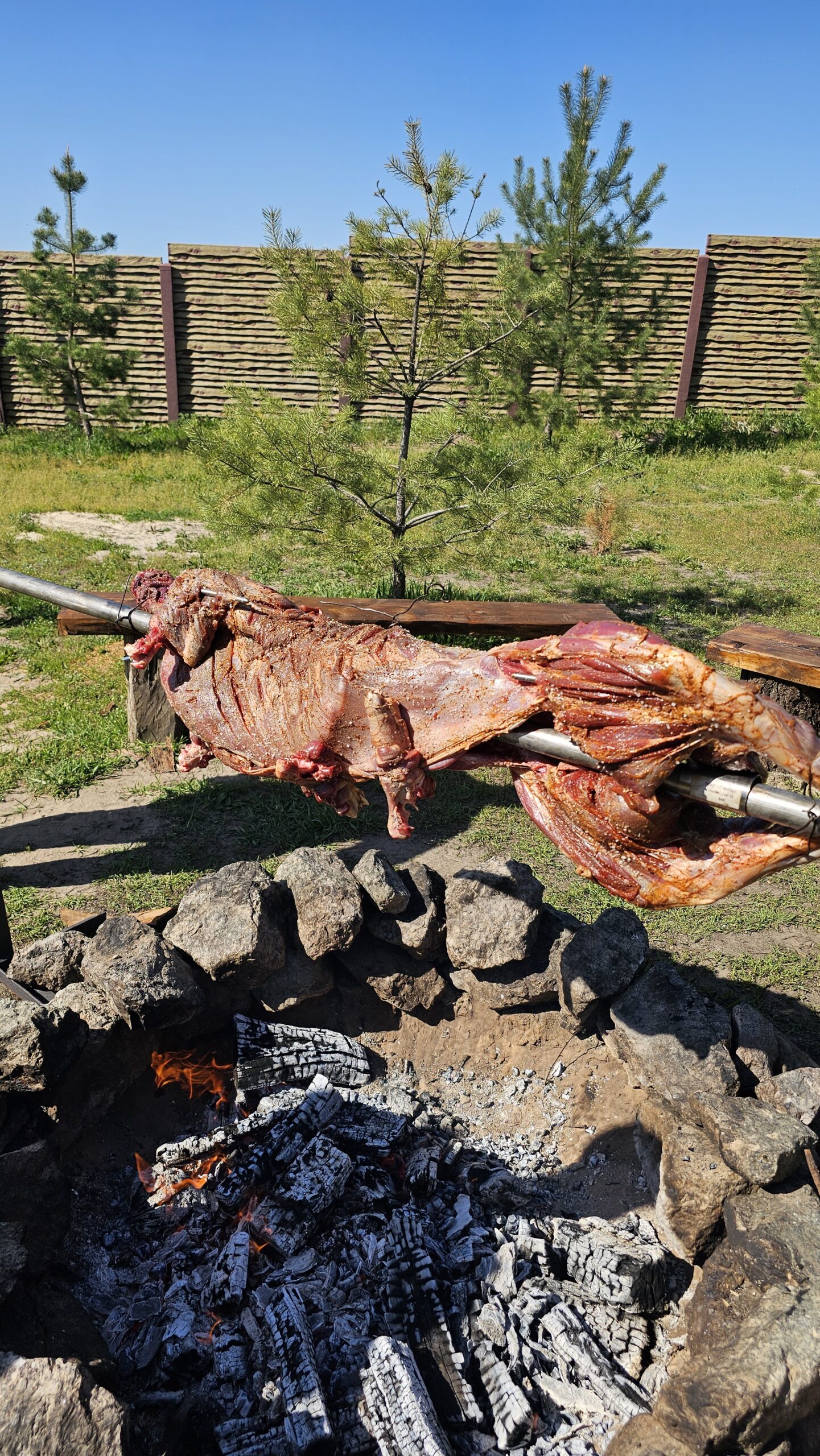 Ягня на вертелі